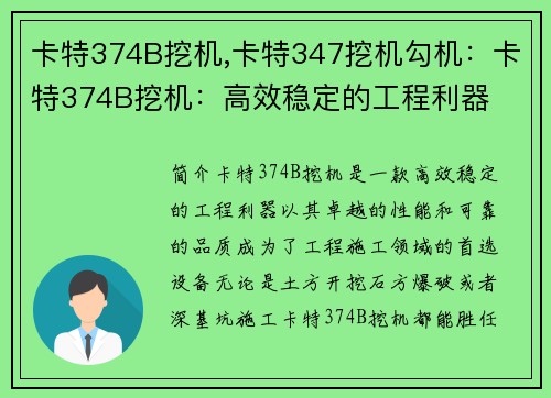 卡特374B挖机,卡特347挖机勾机：卡特374B挖机：高效稳定的工程利器